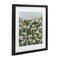 Stupell Industries Daisy Field in Springtime Framed Print Under Glass, design by Emma Bell
